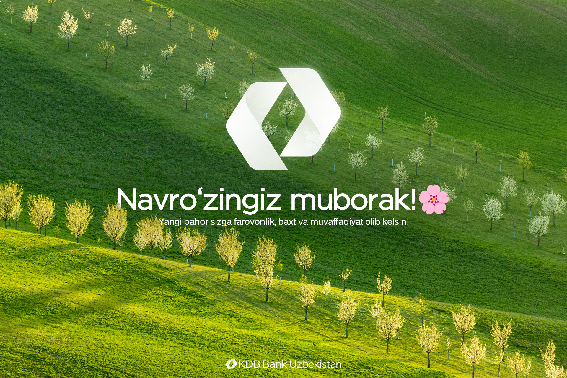 Happy Navruz!